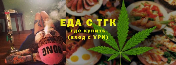 тгк Абаза