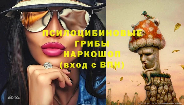 тгк Абаза