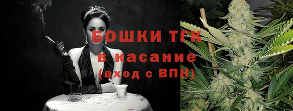 тгк Абаза